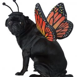 California Costume Monarch Butterfly Dog Pet Costume Pet Costumes