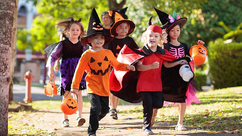 The Halloween Sales -The Halloween Sales b6efc75f4709dbcd6728998cdf2e9fcb 493841